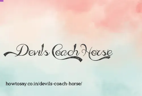 Devils Coach Horse