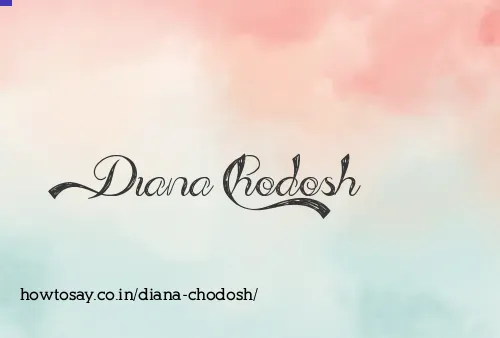 Diana Chodosh