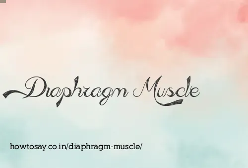 Diaphragm Muscle
