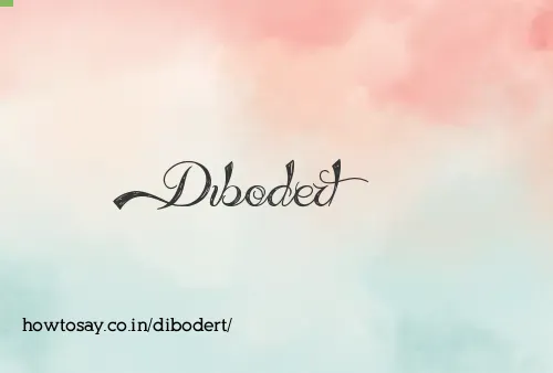 Dibodert