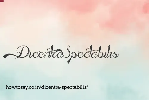 Dicentra Spectabilis