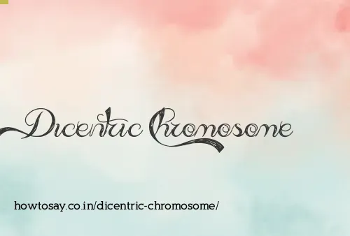 Dicentric Chromosome
