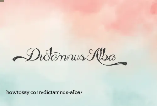 Dictamnus Alba
