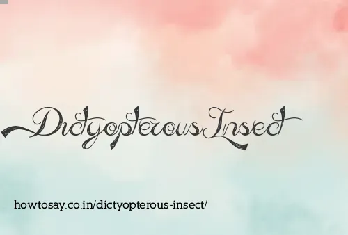 Dictyopterous Insect