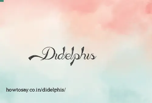 Didelphis