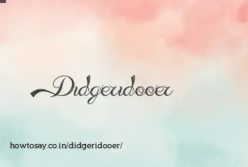 Didgeridooer