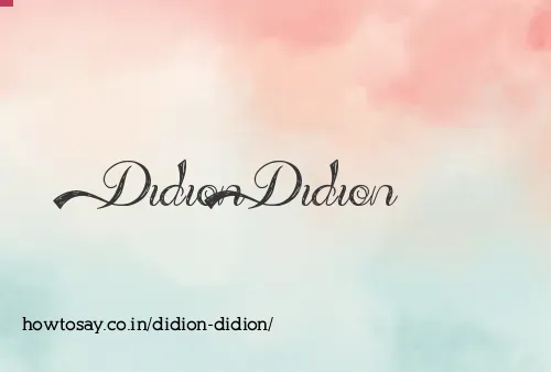 Didion Didion