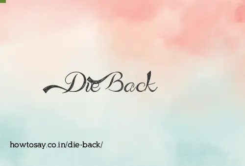 Die Back