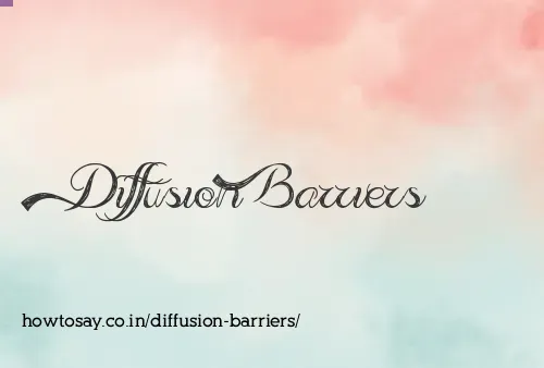 Diffusion Barriers