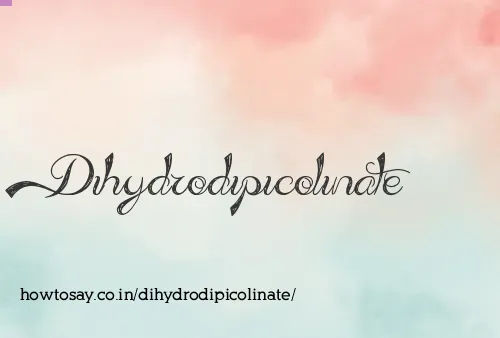 Dihydrodipicolinate