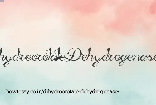 Dihydroorotate Dehydrogenase