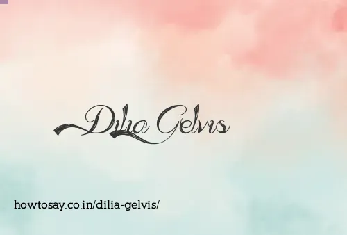 Dilia Gelvis
