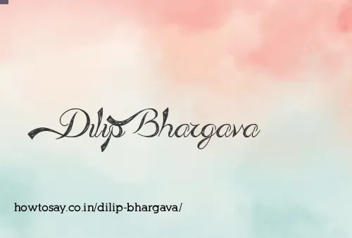 Dilip Bhargava