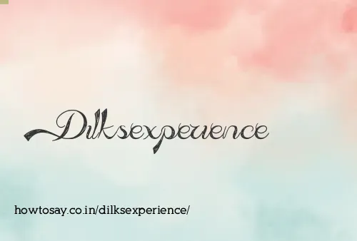 Dilksexperience