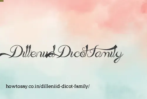 Dilleniid Dicot Family