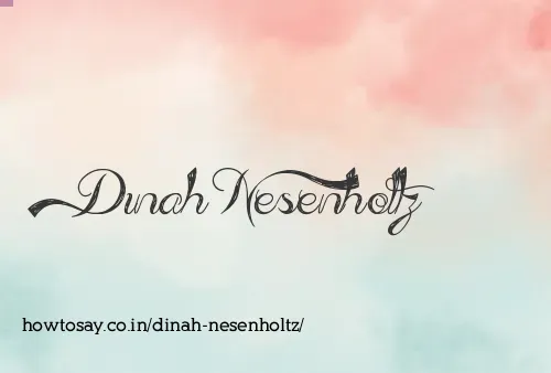 Dinah Nesenholtz
