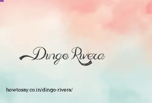 Dingo Rivera
