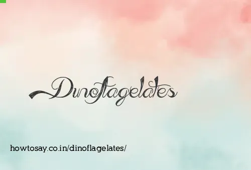 Dinoflagelates