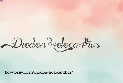Diodon Holocanthus