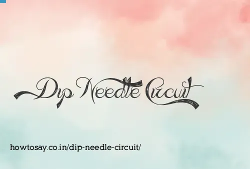 Dip Needle Circuit