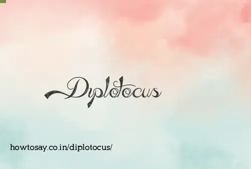 Diplotocus