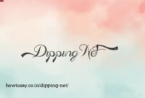 Dipping Net