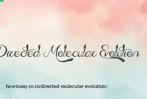 Directed Molecular Evolution