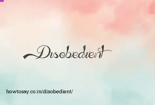 Disobedient