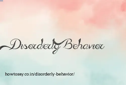 Disorderly Behavior