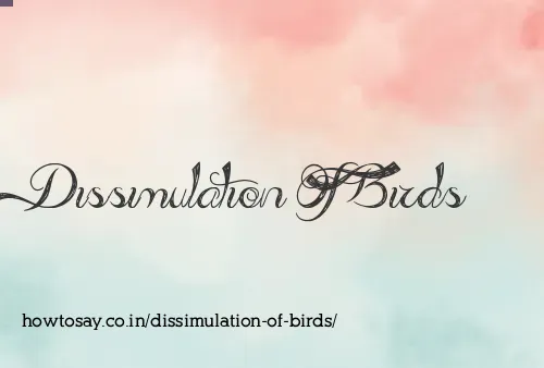 Dissimulation Of Birds