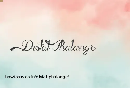 Distal Phalange