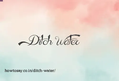 Ditch Water