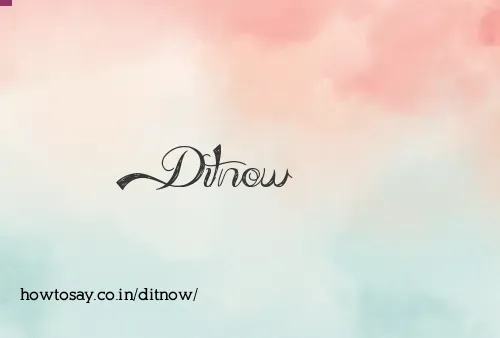 Ditnow