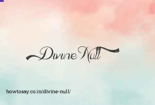 Divine Null