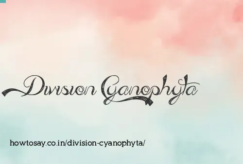 Division Cyanophyta