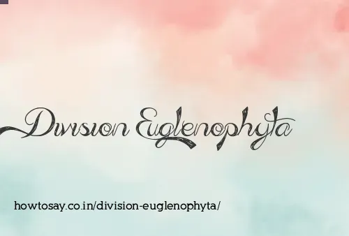 Division Euglenophyta
