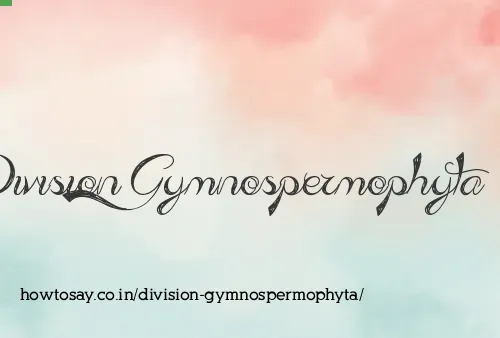 Division Gymnospermophyta