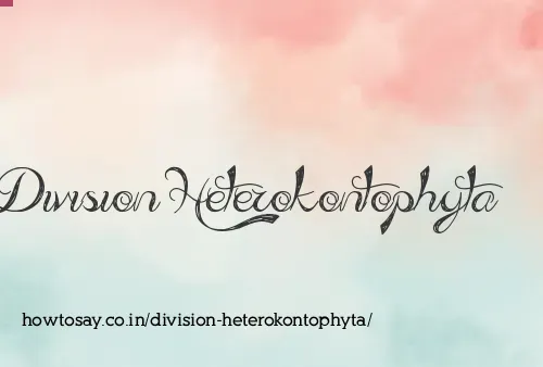 Division Heterokontophyta