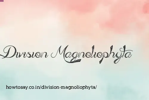 Division Magnoliophyta