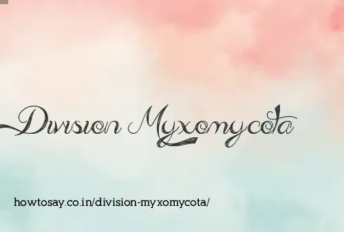 Division Myxomycota