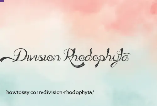Division Rhodophyta