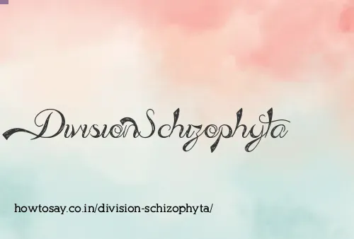 Division Schizophyta