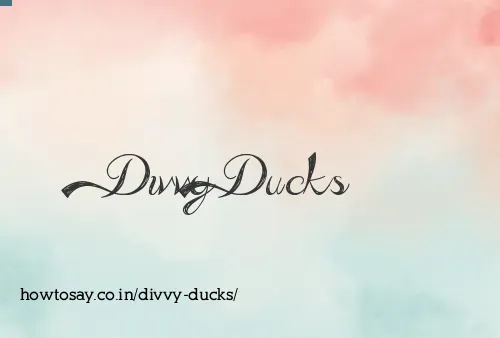 Divvy Ducks