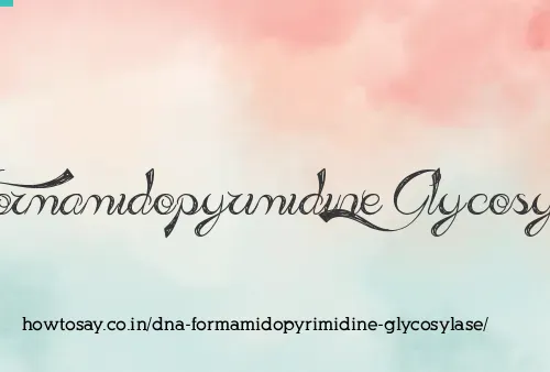 Dna Formamidopyrimidine Glycosylase