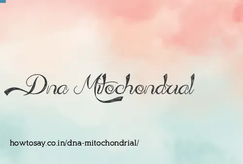 Dna Mitochondrial