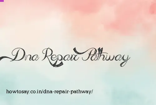 Dna Repair Pathway