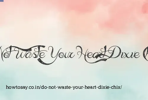 Do Not Waste Your Heart Dixie Chix
