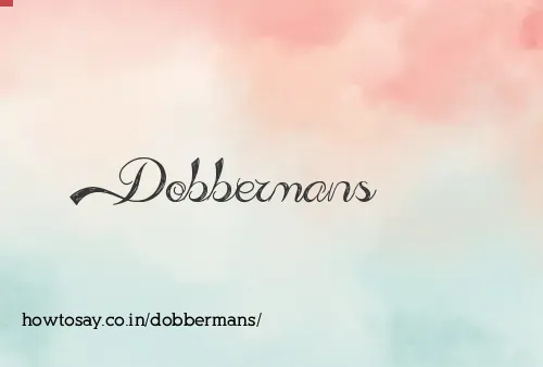 Dobbermans