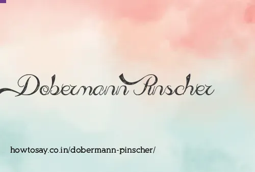 Dobermann Pinscher