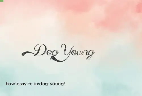 Dog Young